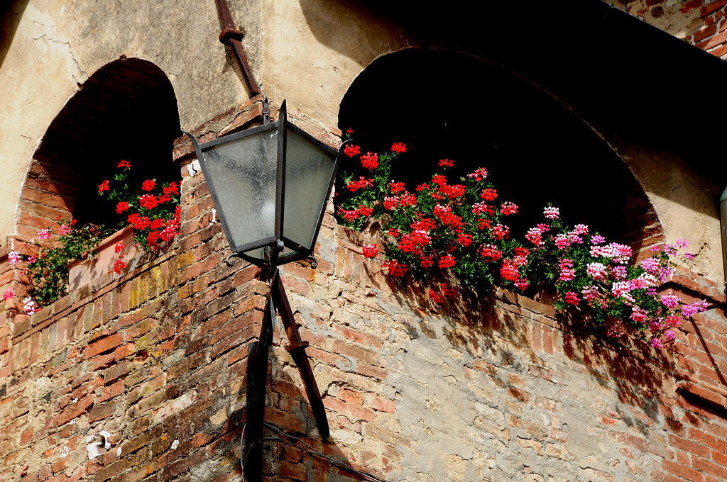 Agriturismo Castello Saltemnano Buonconvento Exterior foto