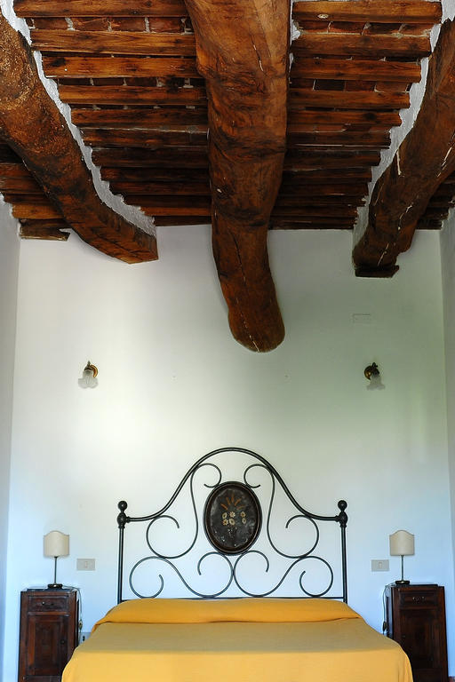 Agriturismo Castello Saltemnano Buonconvento Quarto foto
