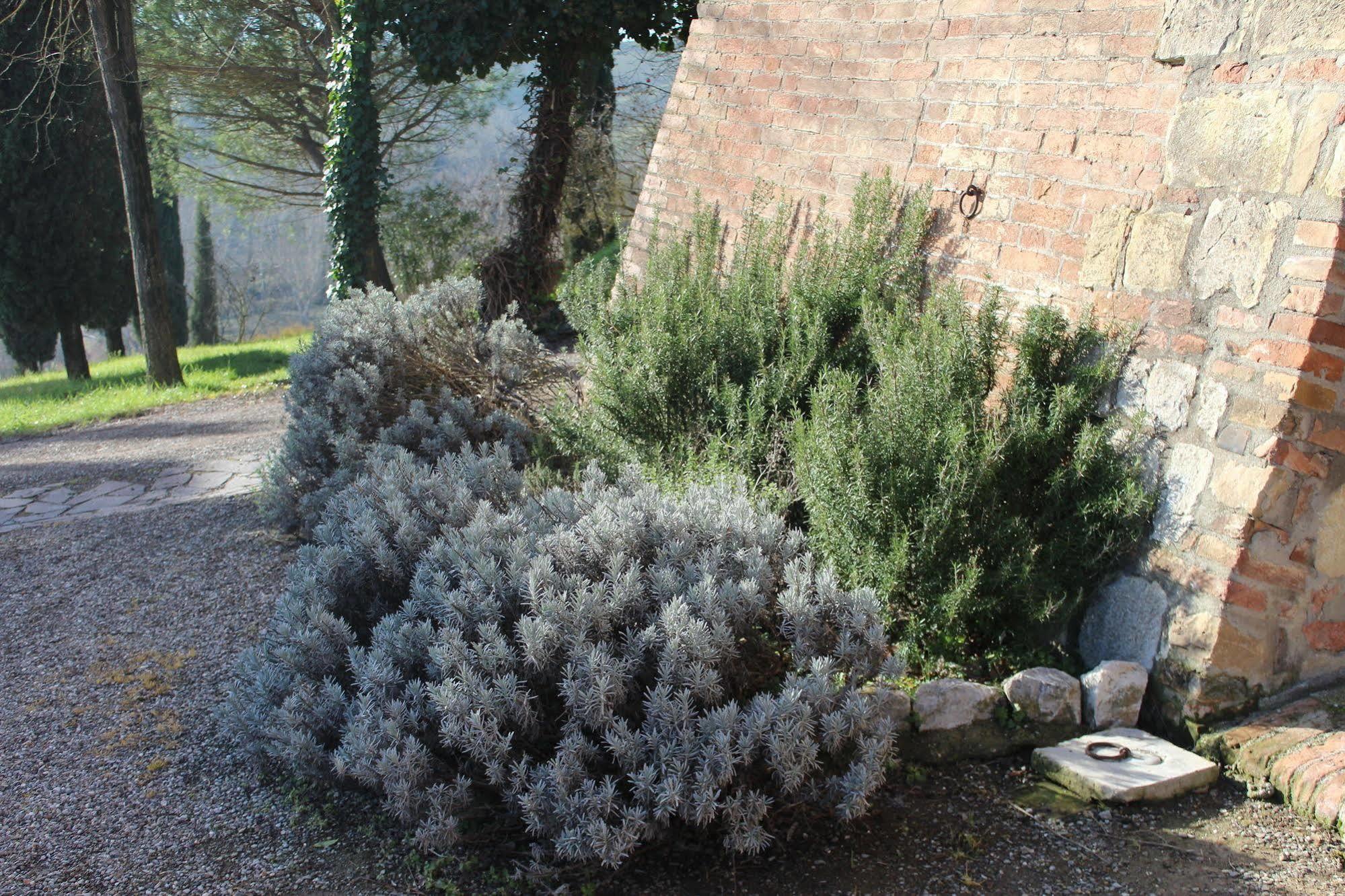 Agriturismo Castello Saltemnano Buonconvento Exterior foto